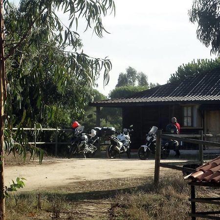 Coudelaria Vale Pau Villa Coruche Kültér fotó