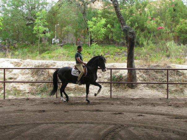 Coudelaria Vale Pau Villa Coruche Szoba fotó