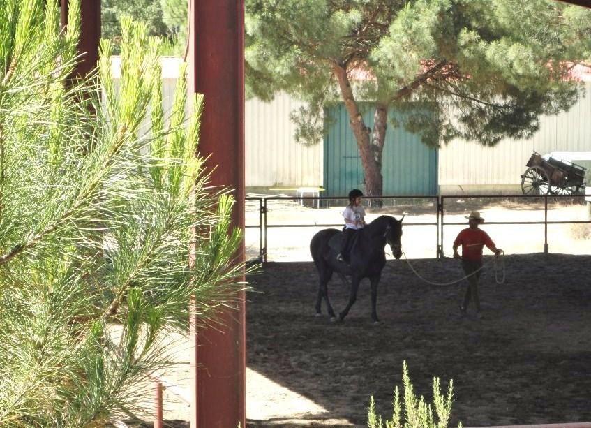 Coudelaria Vale Pau Villa Coruche Szoba fotó