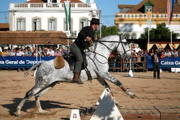 Coudelaria Vale Pau Villa Coruche Kültér fotó