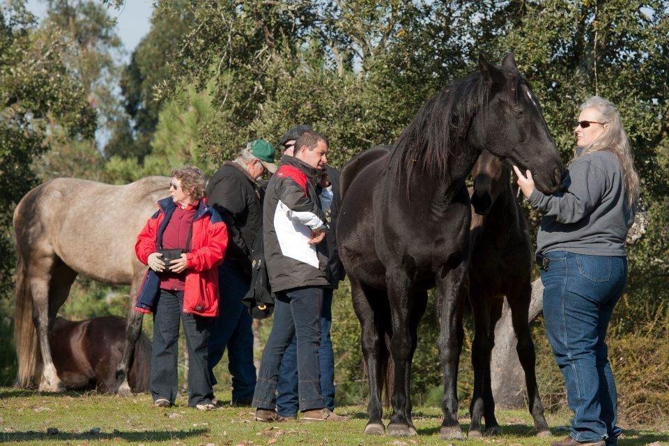 Coudelaria Vale Pau Villa Coruche Kültér fotó