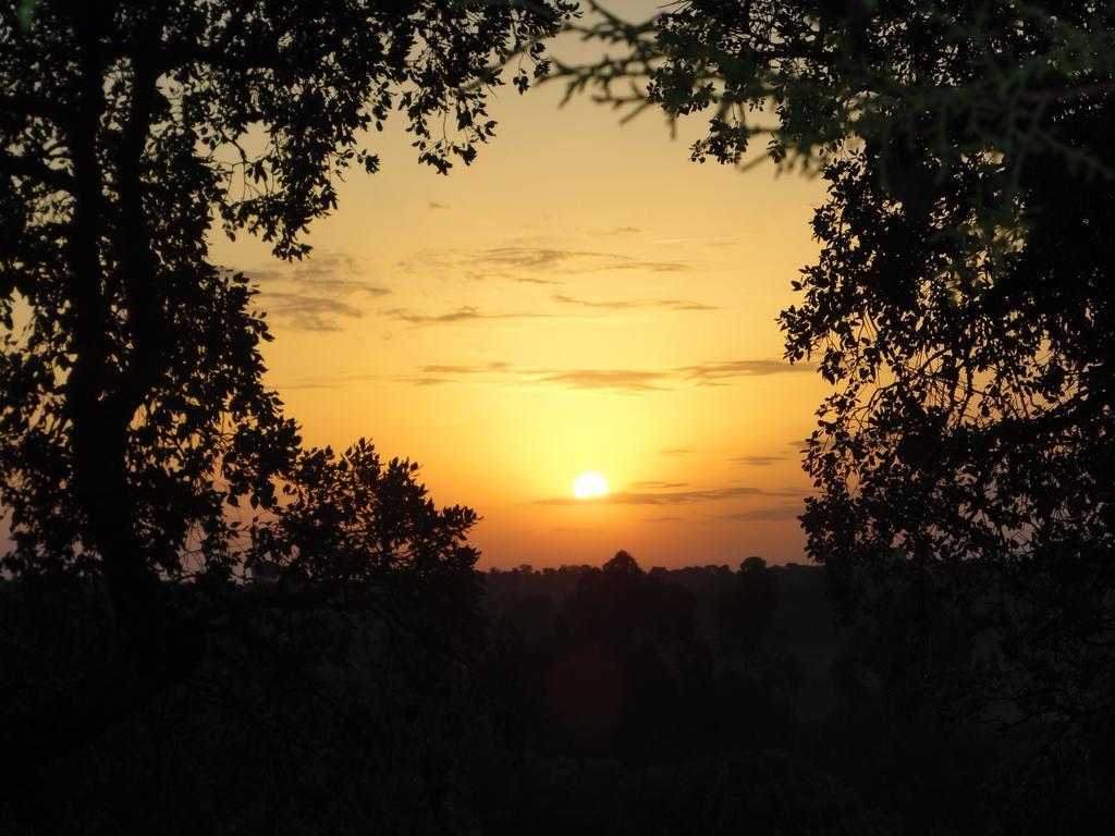 Coudelaria Vale Pau Villa Coruche Szoba fotó